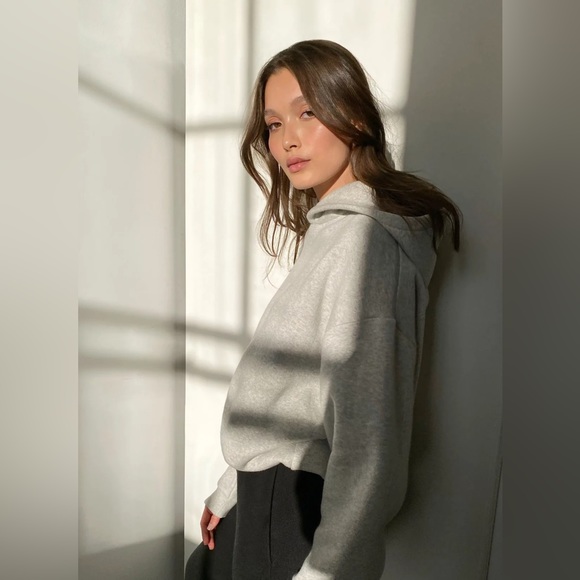 Aritzia The Group by Babaton West Coast Hoodie, oversized slightly cropped - Picture 4 of 12
